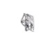 PIN CABALLOS